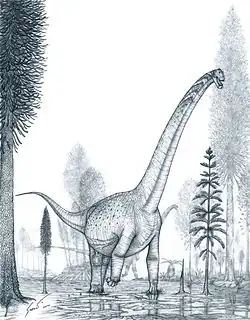 Restoration