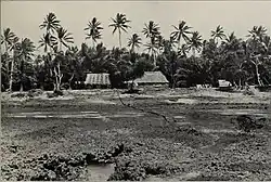 Image 40The atoll of Funafuti; borings into a coral reef and the results, being the report of the Coral Reef Committee of the Royal Society (1904). (from History of Tuvalu)