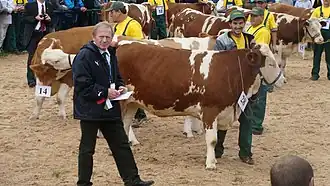 Dr Richard Pichler. National Exposition of the Simmental Cattle and the Regional Championship of Hucul Horse.