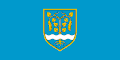 Flag of Podravska Moslavina
