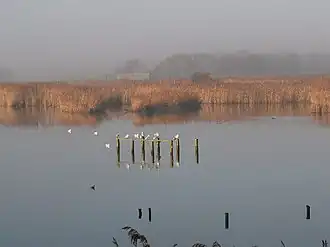 Titchfield Haven Nature Reserve