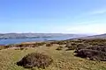 Tomales Bay