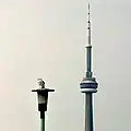 A lamppost (foreground) and Toronto's CN Tower (in distance)