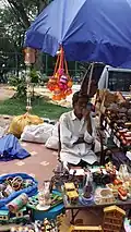 Toy Vendor in front of Basavanagudi inside Bugle Rock park