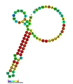 tpke11: Secondary structure taken from the Rfam database. Family RF02031