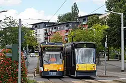 Two trams with different shaped cabs