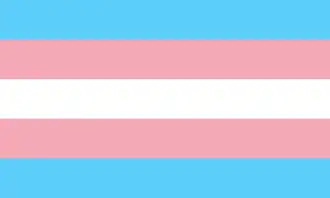 Flag with five horizontal bars: white in center, surrounded by pink, surrounded by light blue