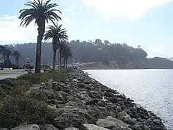 Looking south towards Yerba Buena Island and the Bay Bridge from the western shore.