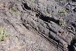 An indentation in dark lava rock of a tree trunk several inches in diameter displaying the texture of the bark in the rock.