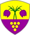 Coat of arms of Municipality of Trnovska Vas