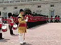 Drum Major in state dress (unchanged since 1685) and the Coldstream Guards Corps of Drums