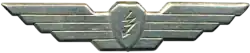 Air Signaller's Badge