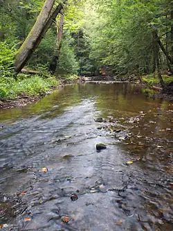 Twomile Run in the township