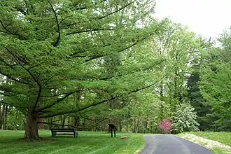 Information signs and benches are along many of the pathways.