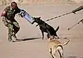 BDF Military Police K-9 Unit training