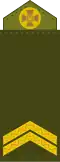 Молодший сержант Molodshyy serzhant (Ukrainian Ground Forces)[17]