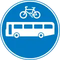 Road shared by bicycles and buses