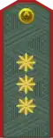 General-polkovnik (Uzbek Ground Forces)[16]