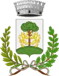 Coat of arms of Valle dell'Angelo