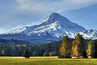 Mt. Hood National Forest