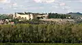 View of the fortress from Avignon