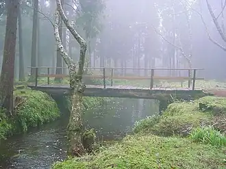 A footbridge in the headlands of the Serra de Santa Bárbara, near Viveiros da Falca