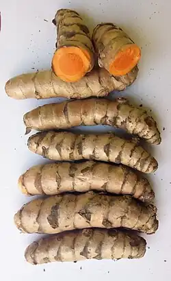 Waigaon Turmeric fingers