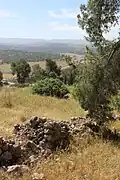 View from ruin near En el-Kezbe, looking south across the Elah Valley