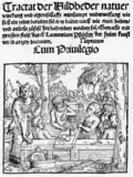 Traktat der Wildbäder Natur. 1519