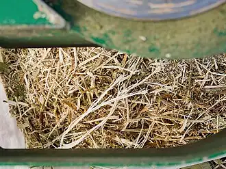 Wood chips from a small garden chipper.