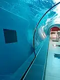 View from the tunnel that guests can walk through in the pool