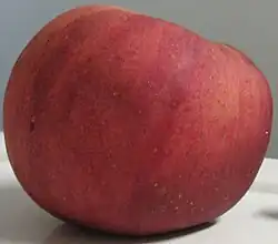 A 'York Imperial' apple, red with green streaks
