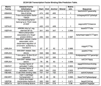 Transcription factor binding site predictions in the promoter of ZC3H12B.