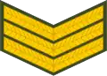 Sergeant (Lesotho Army)[69]