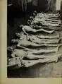 Bodies of prisoners who died of conditions in the camp, p.&nbsp;41